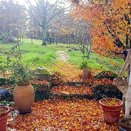 Aux Tuileries Nord Bed & Breakfast 3*